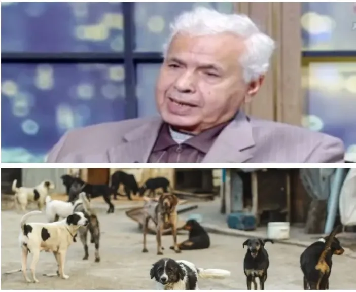 الدكتور شهاب عبد الحميد