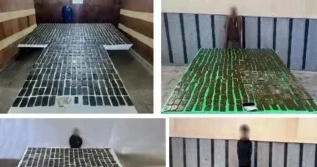 المضبوطات 