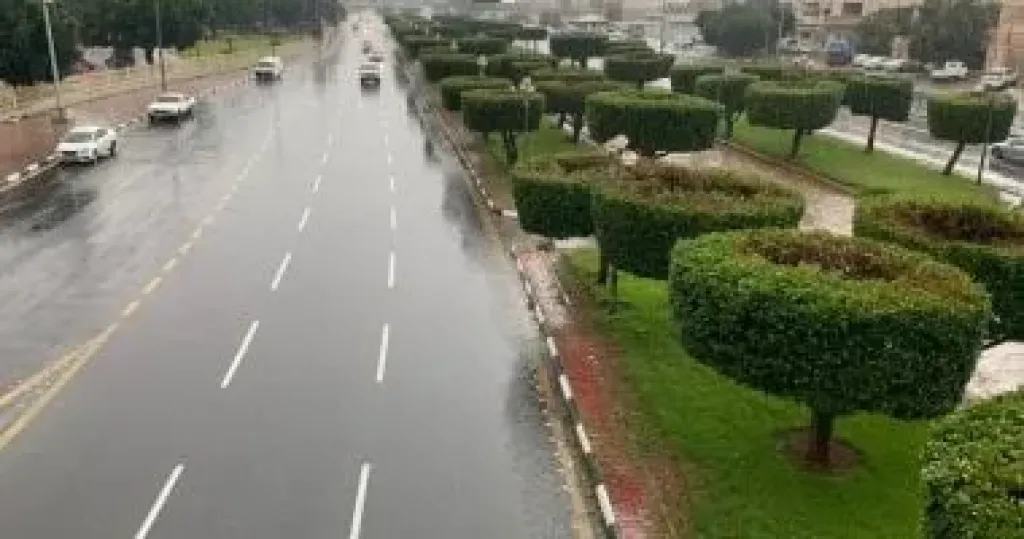 هطول أمطار رعدية - أرشيفية