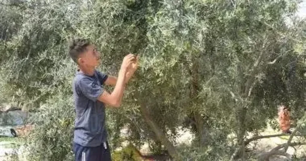 بحوث الصحراء 