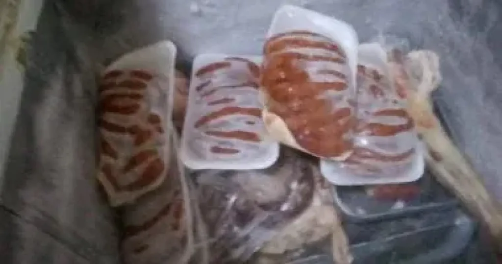 المضبوطات 