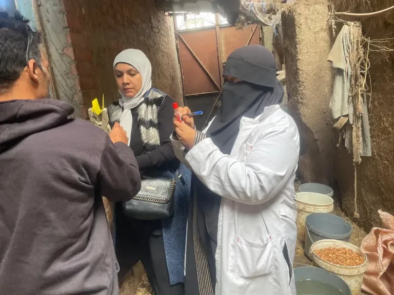 جانب من التطعيمات 