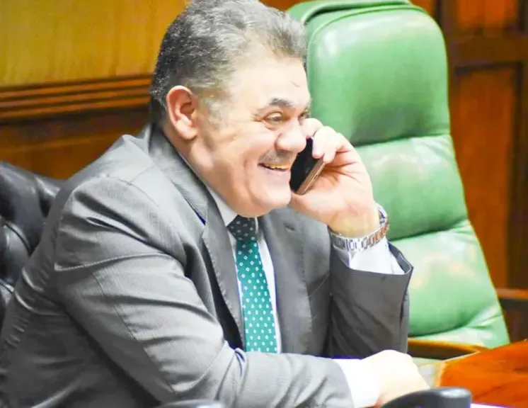 د.السيد البدوى 
