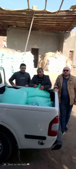 الضبطية