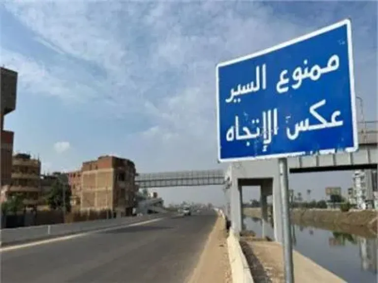 ارشيفية 