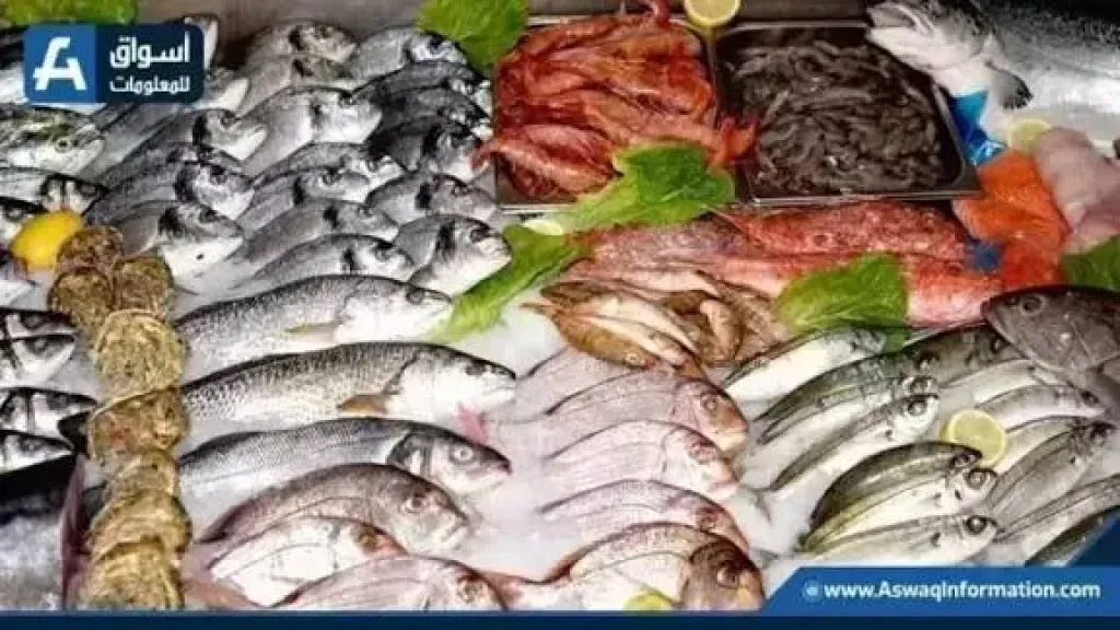 أسعار السمك 