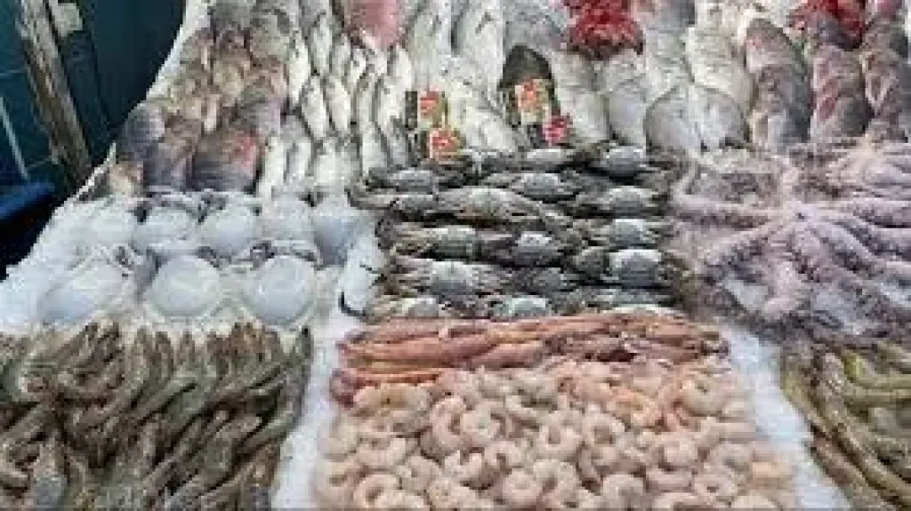 أسعار الاسماك بالبحيره