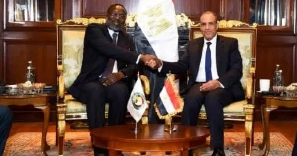 جانب من اللقاء 