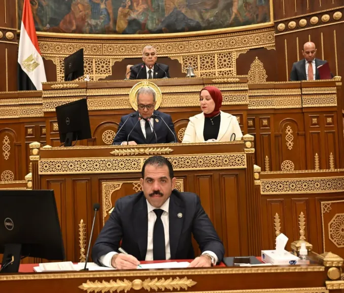 جلسة مجلس الشيوخ 