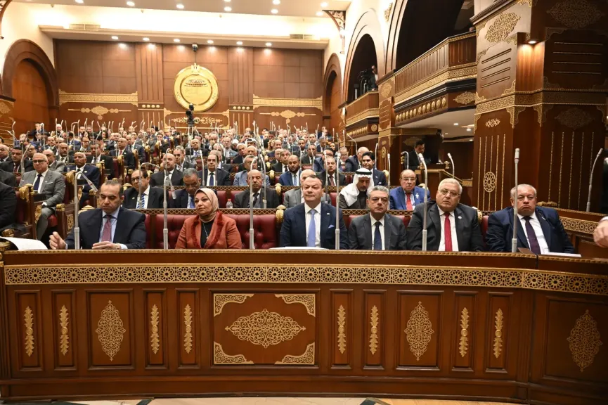 مجلس الشيوخ 
