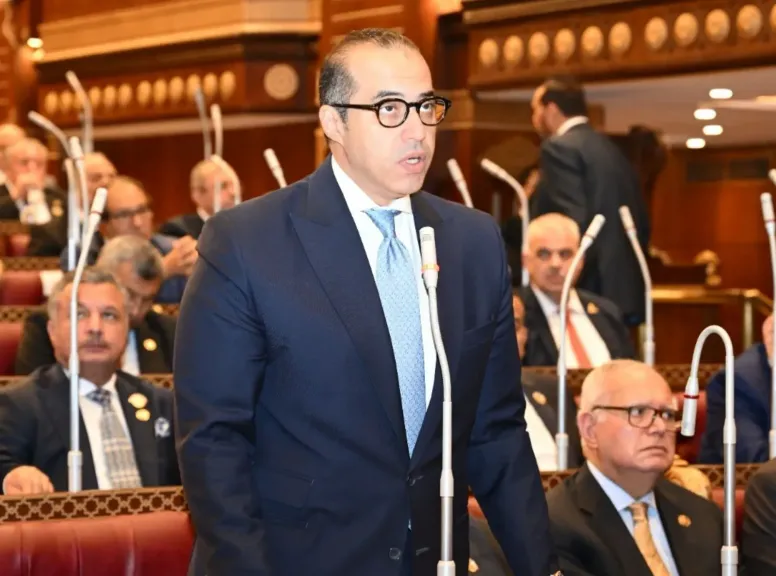 محمود فوزي 