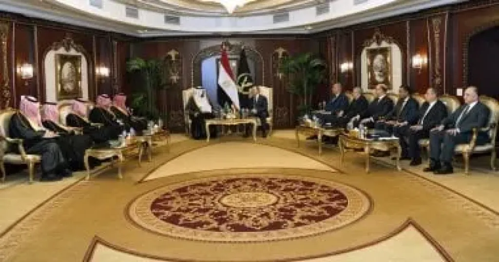 جانب من اللقاء 
