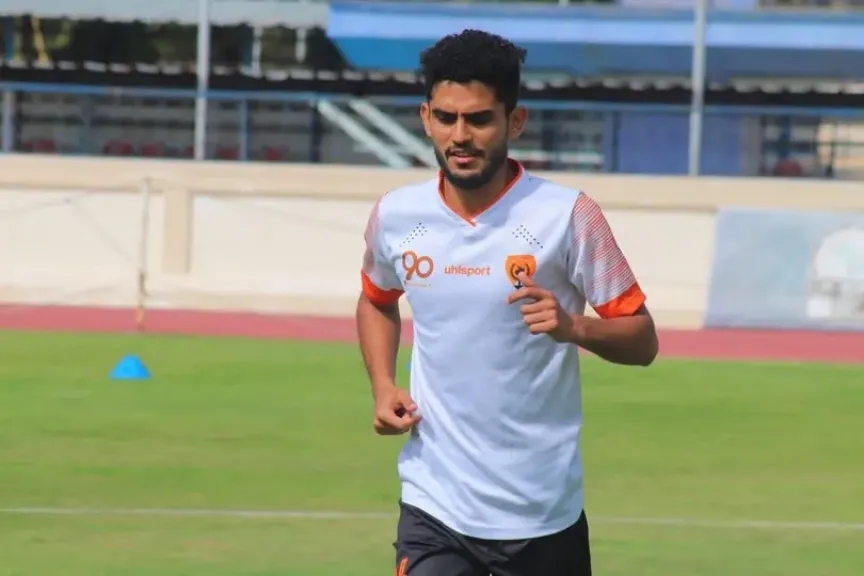 دوري المحترفين