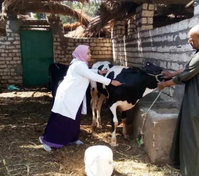 جانب من حملات التحصين