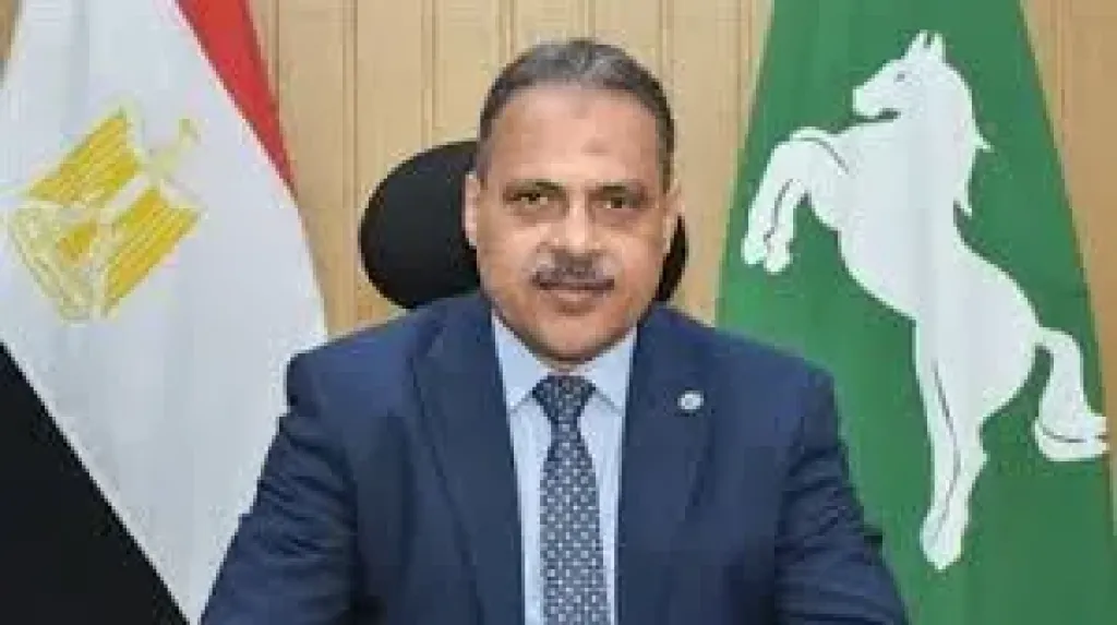 محافظ الشرقيه