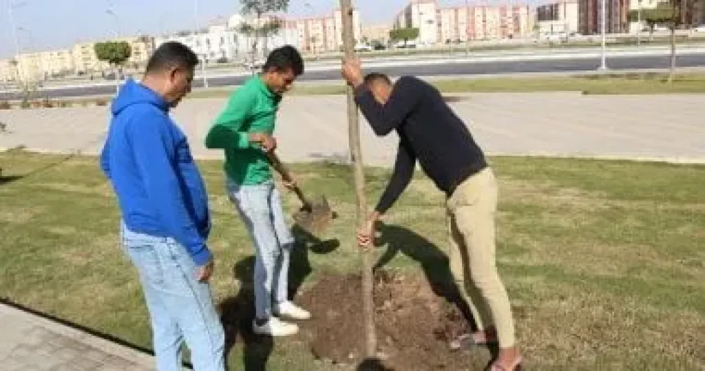  100 مليون شجرة  