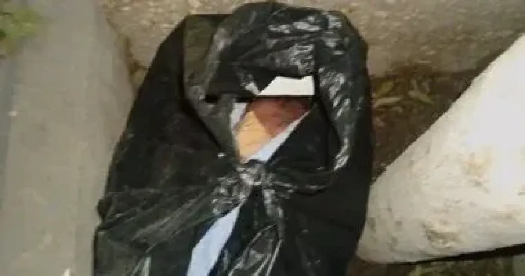 طفل رضيع 