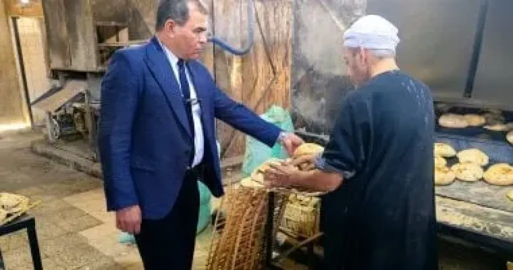 جانب من الحملات 