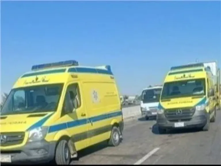 ارشيفية 