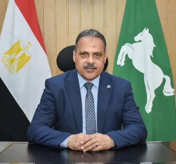 محافظ الشرقية 