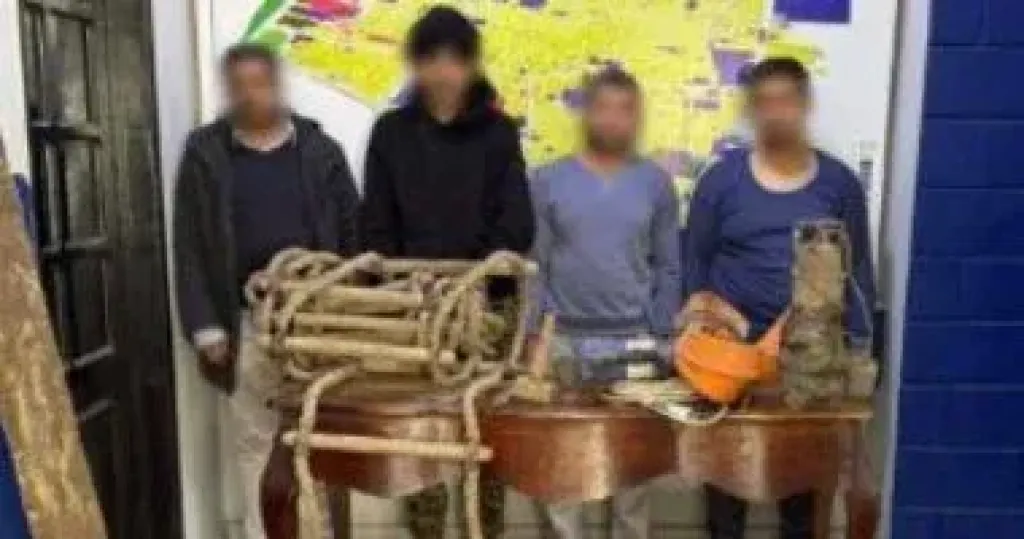 المتهمين 