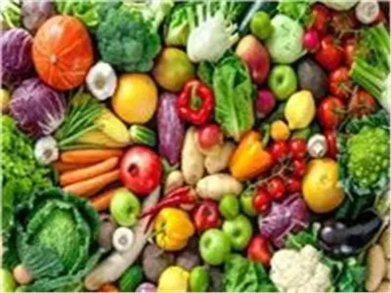 اسعار الخضروات