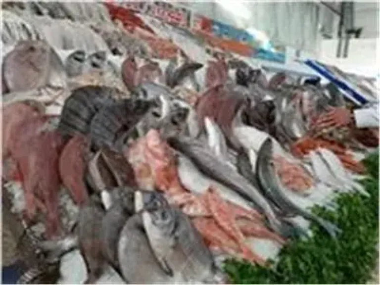 اسعار الاسماك