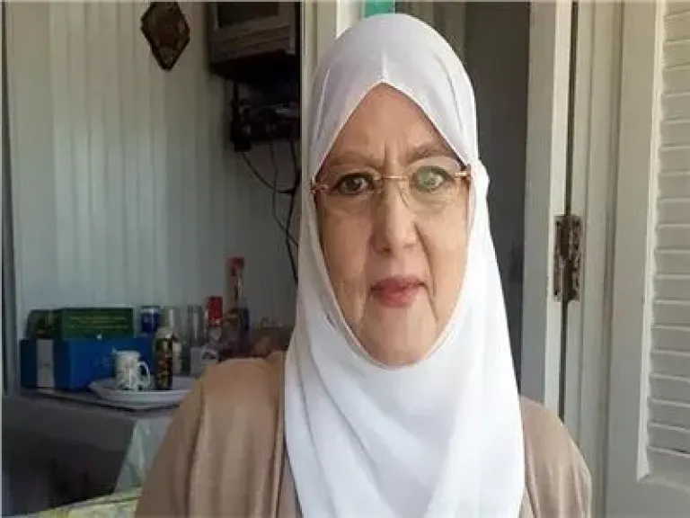 شمس البارودي 