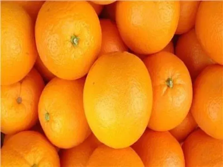 اسعار الفاكهة 