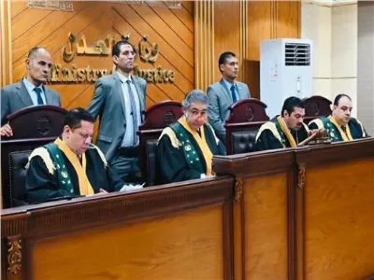 هيئة المحكمة برئاسة المستشار سامح عبد الحكم