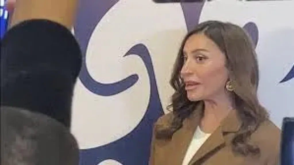 دينا الشربينى