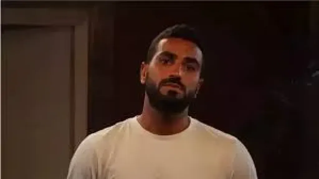 الشرنوبى