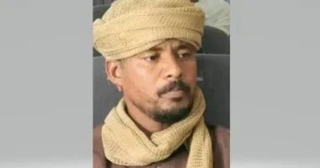  مستشار حمدتى  