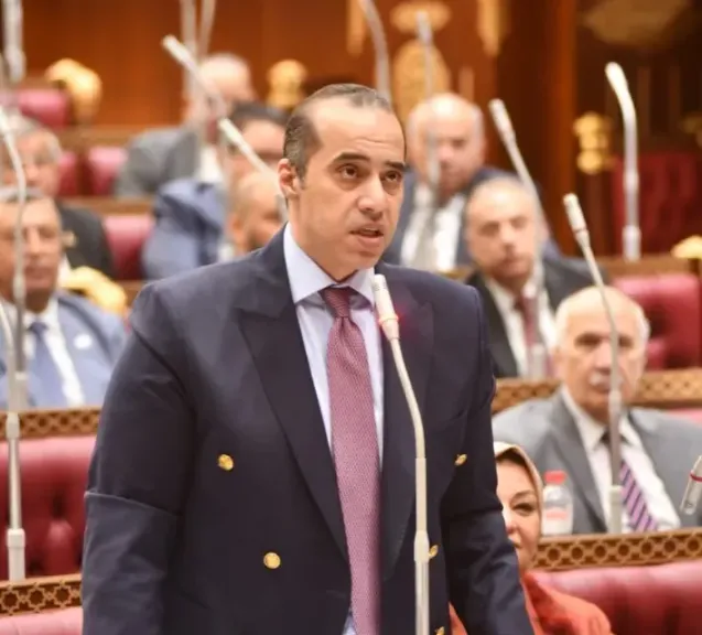 محمود فوزي 