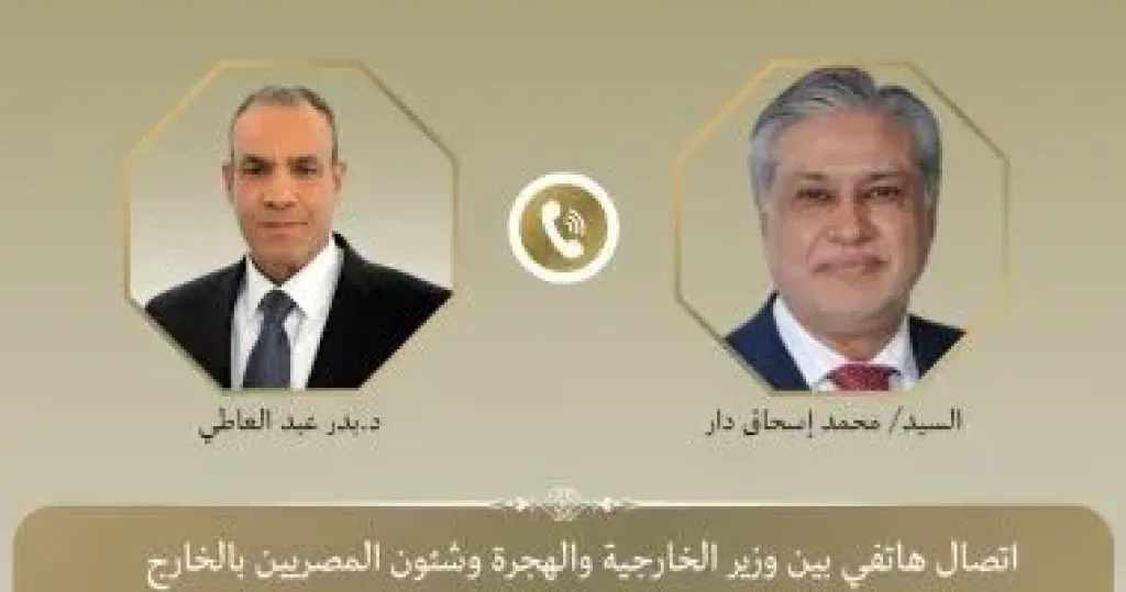 وزيرا خارجية مصر وباكستان