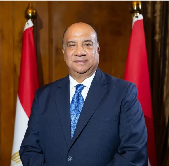 محمد مصيلحي