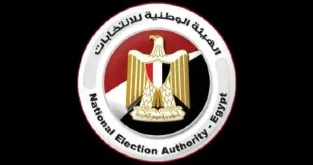 الهيئة الوطنية للانتخابات 