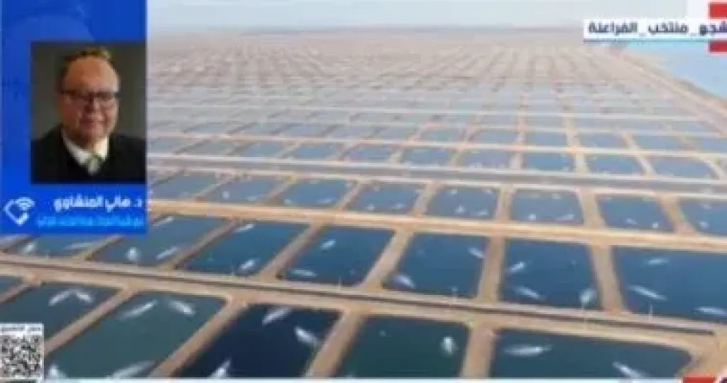 جانب من المداخلة 