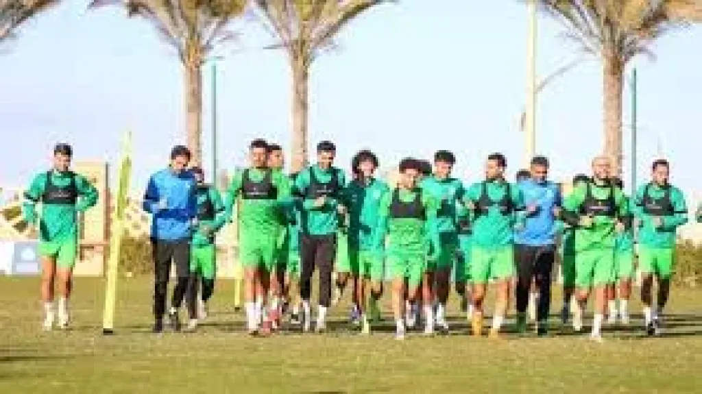 المصرى
