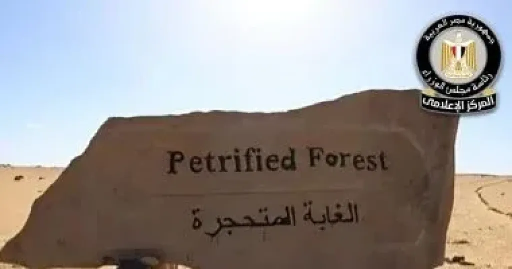  محمية الغابة المتحجرة  