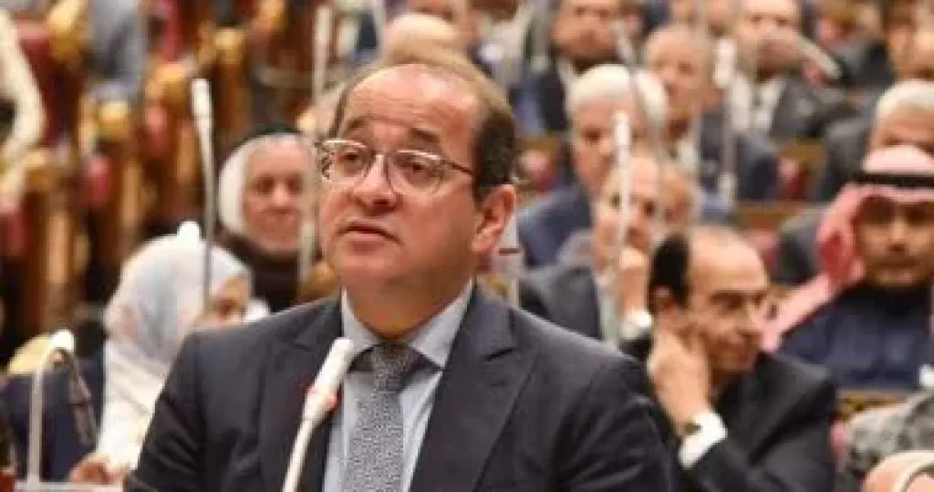 وزير المالية