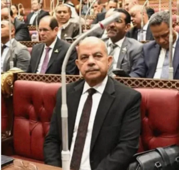 اللواء عبد المنعم  إمام