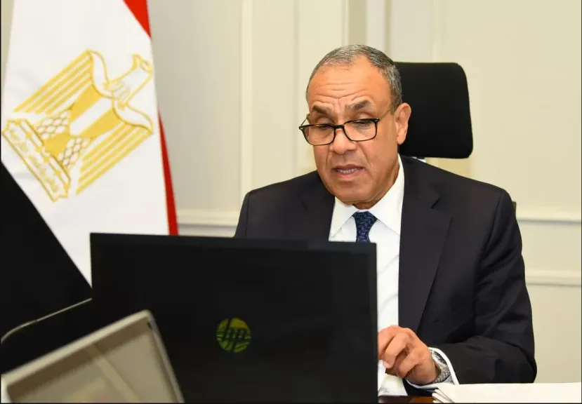 وزير الخارجية 