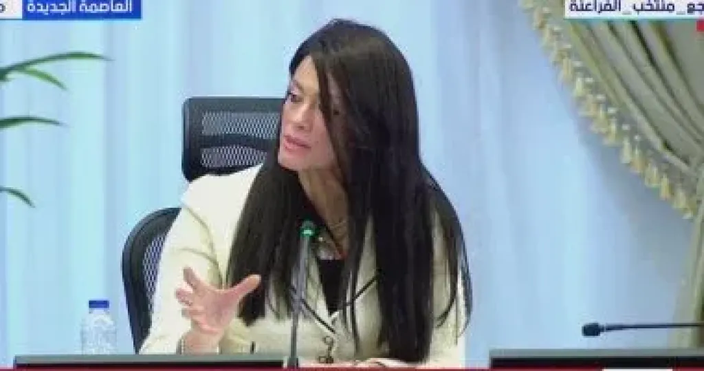 وزيرة التخطيط 