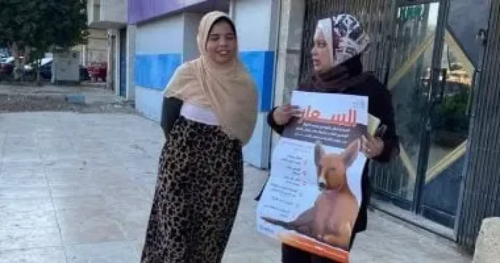 السويس تُطلق أول شيلتر للكلاب الضالة