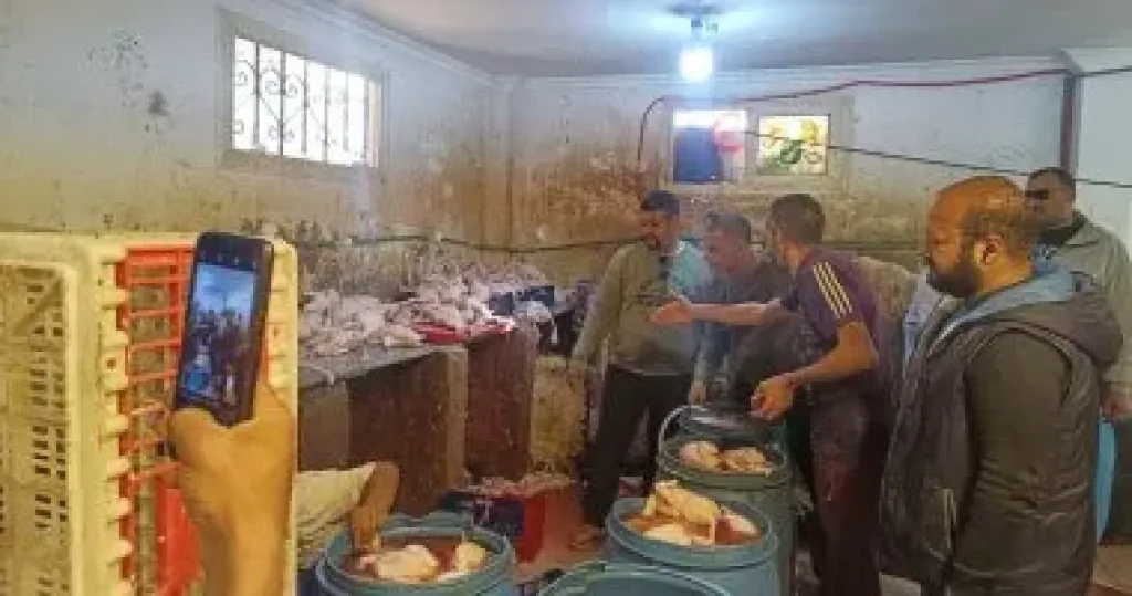 جانب من الحملات 
