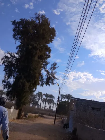 جانب من متابعه 