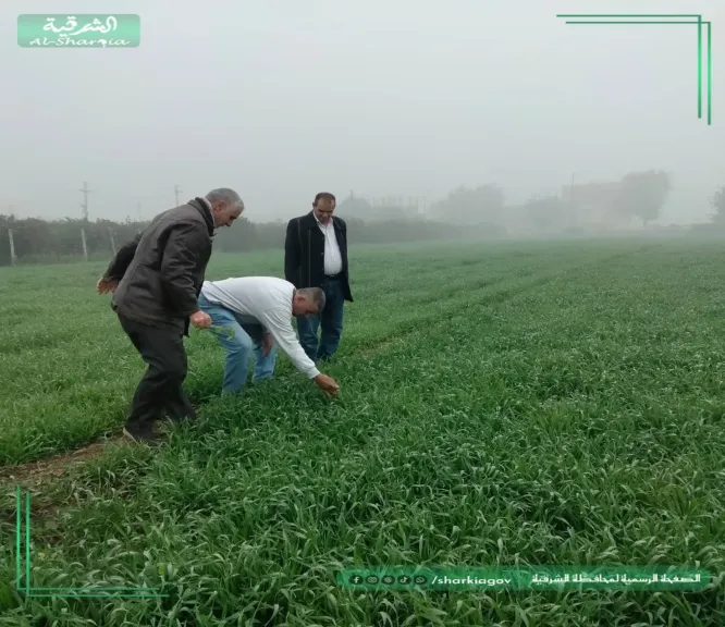 جانب من الانشطة 