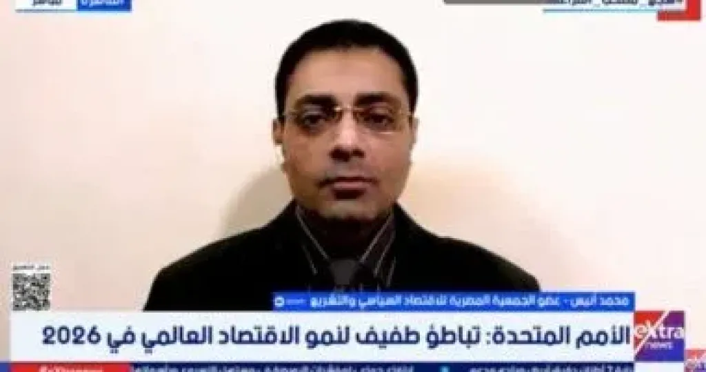 محمد أنيس  