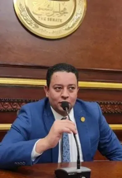 النائب مصطفى النفيلى